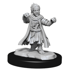 Pathfinder: Deep Cuts - Halfing Monk Male