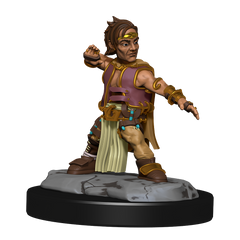 Pathfinder: Deep Cuts - Halfing Monk Male