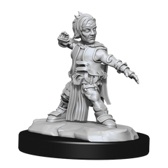 Pathfinder: Deep Cuts - Halfing Monk Male