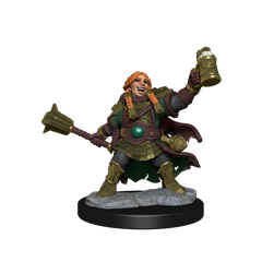 D&D: Frameworks - Dwarf Cleric Female