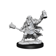D&D: Frameworks - Dwarf Cleric Female