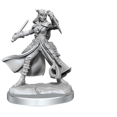 D&D: Frameworks - Tiefling Rogue Female