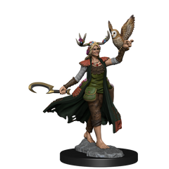 D&D: Frameworks - Human Druid Female