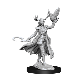 D&D: Frameworks - Human Druid Female