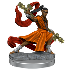 D&D: Frameworks - Elf Monk Male