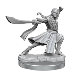 D&D: Frameworks - Elf Monk Male
