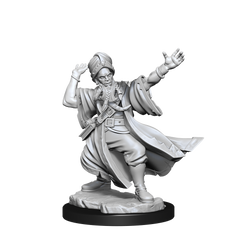 D&D: Frameworks - Human Wizard Male