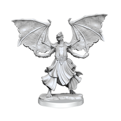 D&D: Frameworks - Dragonborn Sorcerer Female