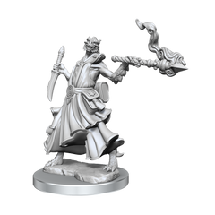 D&D: Frameworks - Dragonborn Sorcerer Female