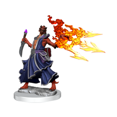 D&D: Frameworks - Dragonborn Sorcerer Female