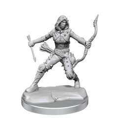 D&D: Frameworks - Human Rogue Female