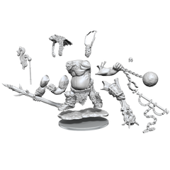 D&D: Frameworks - Ogre