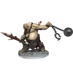 D&D: Frameworks - Ogre