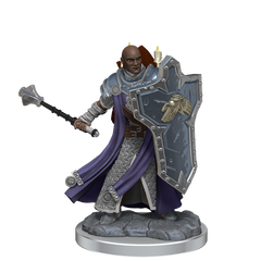 D&D: Frameworks - Human Cleric Male