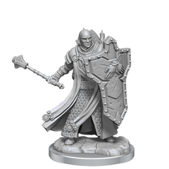 D&D: Frameworks - Human Cleric Male