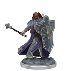 D&D: Frameworks - Human Cleric Male