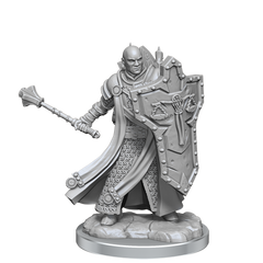 D&D: Frameworks - Human Cleric Male