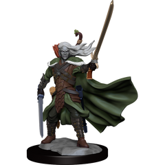 D&D: Frameworks - Elf Ranger Male