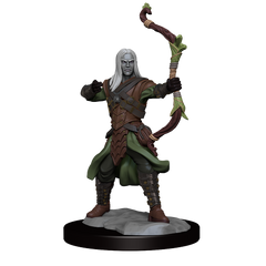 D&D: Frameworks - Elf Ranger Male