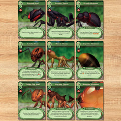 March of the Ants: Evolved Edition