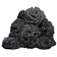 D&D: Icons of the Realms - Adventure in a Box: Wererat Den