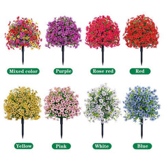 Eucalyptus Violet Floor Outlet Garden Green Plant
