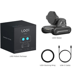 Intelligent Robot AI Assistant with Face Recognition and Gesture Control for Interactive Voice Conversations