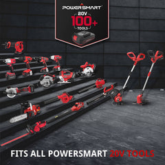 450CFM Cordless Leaf Blower w/ Two 20V Battery and Charger DB2201B