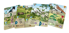 Forest Shuffle: Woodland Edge