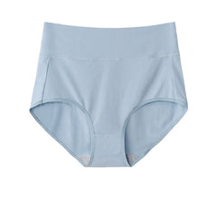 High Waist Briefs Plus Size Fat