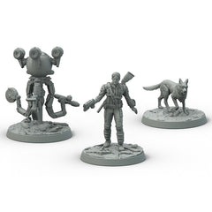 Fallout: Wasteland Warfare - Survivors - Heroes of Sanctuary Hills