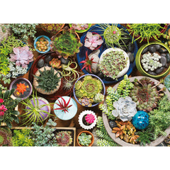 Puzzle: Succulents