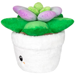 Squishable Succulent (Standard)
