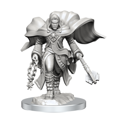 D&D: Nolzur's Marvelous Miniatures - Aasimar Cleric Male
