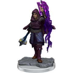 D&D: Nolzur's Marvelous Miniatures - Half-Elf Warlock