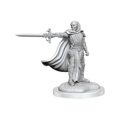 D&D: Nolzur's Marvelous Miniatures - Death Knights